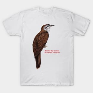 Banded Bay Cuckoo | Cacomantis sonneratii T-Shirt